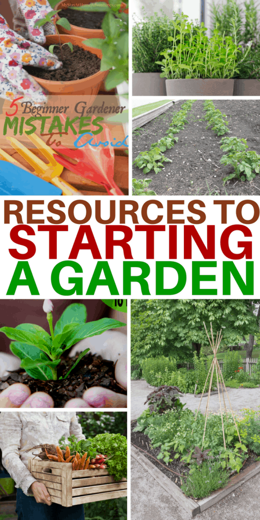 Starting A Garden A Beginners Guide The Happy Home Life