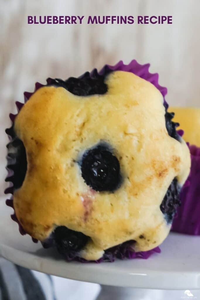 What is the secret to making moist blueberry muffins? (Plus Recipe ...