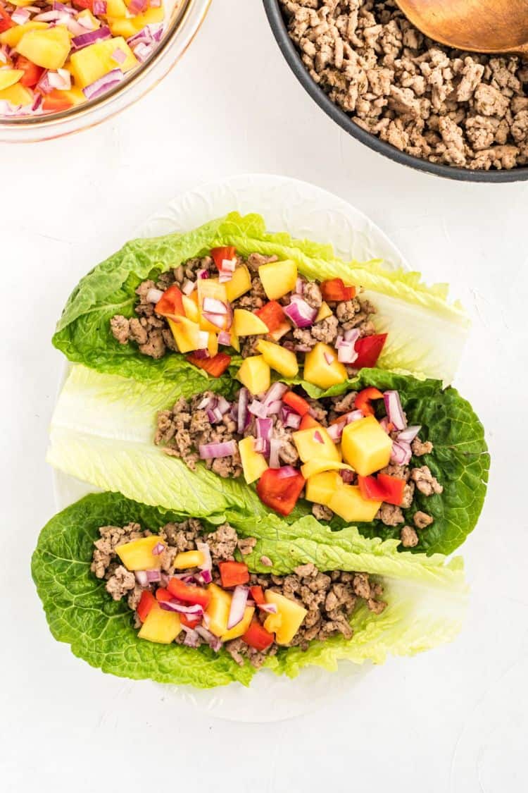 13 Delicious Gluten-Free Ground Chicken Recipes - The Happy Home Life