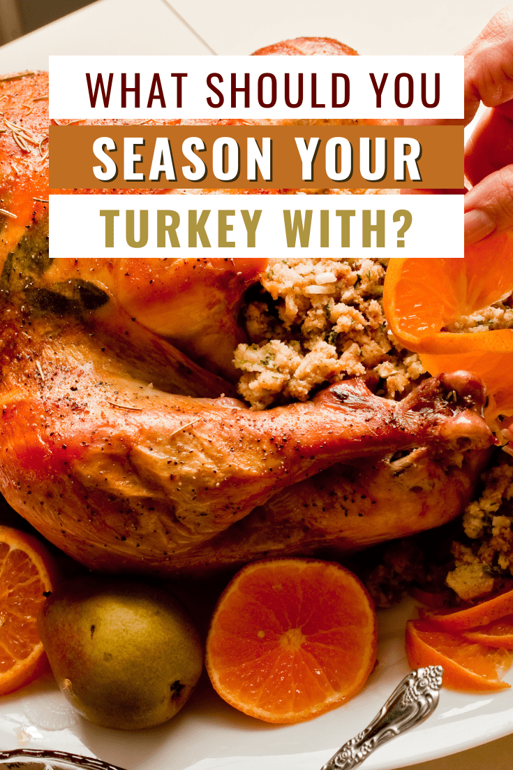 What Should You Season Your Turkey With? - The Happy Home Life