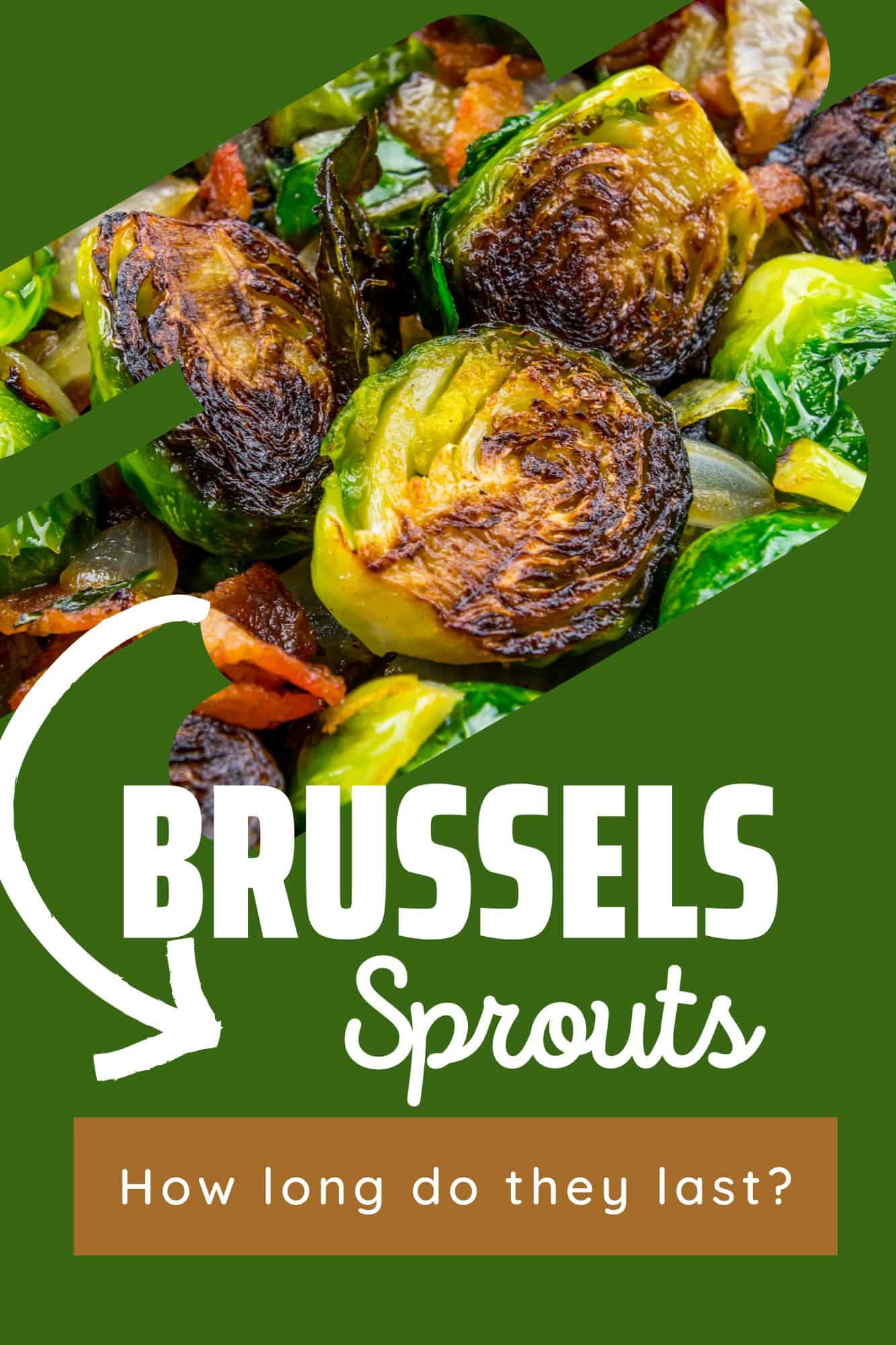 How Long Do Cooked Brussels Sprouts Last? - The Happy Home Life