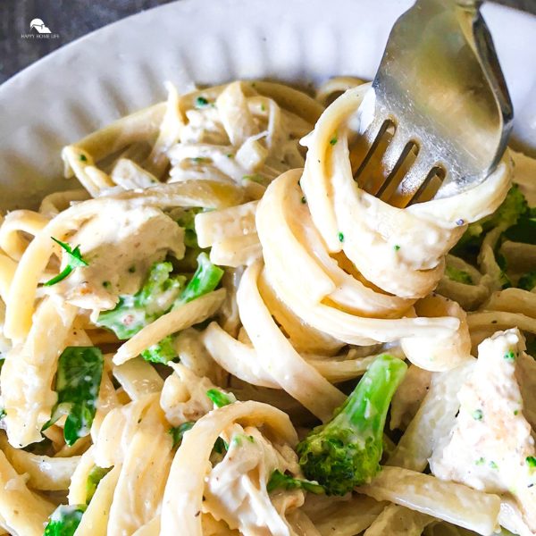 Chicken and Broccoli Alfredo close up image